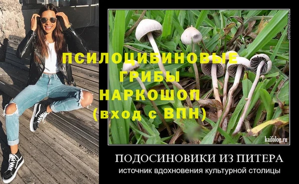 стаф Волосово