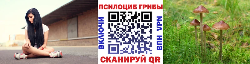 Купить где  Учалы  Галлюциногенные грибы прущие грибы 